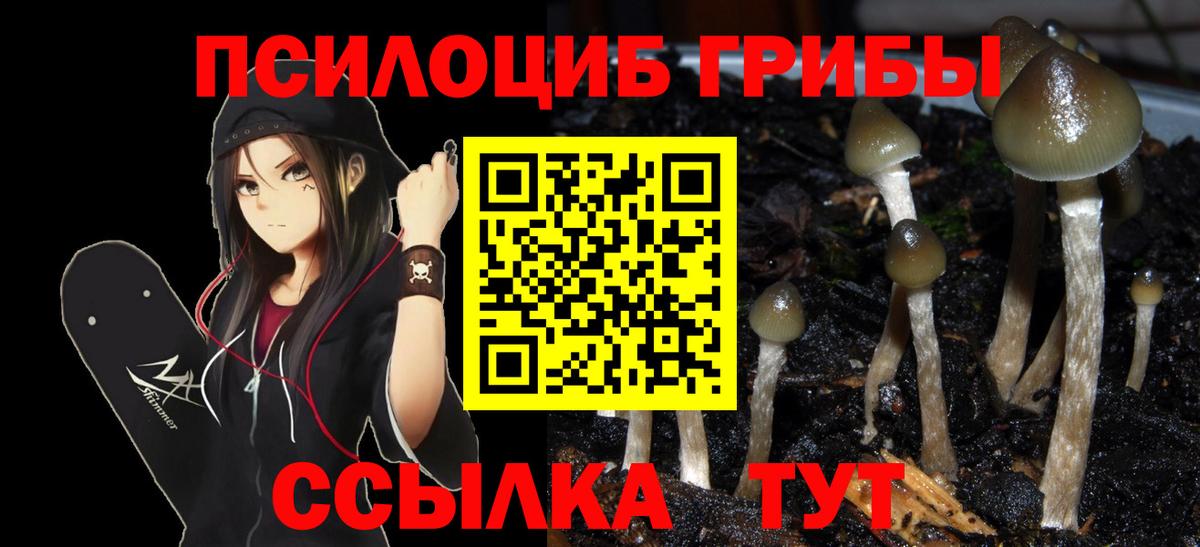 Псилоцибиновые грибы мухоморы  Вход с VPN  цены   Котлас 