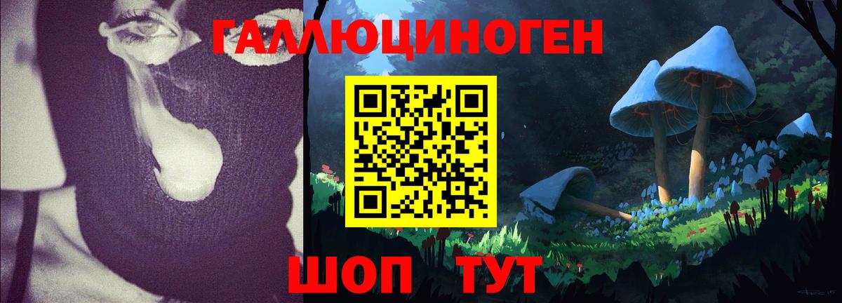 Галлюциногенные грибы GOLDEN TEACHER Котлас