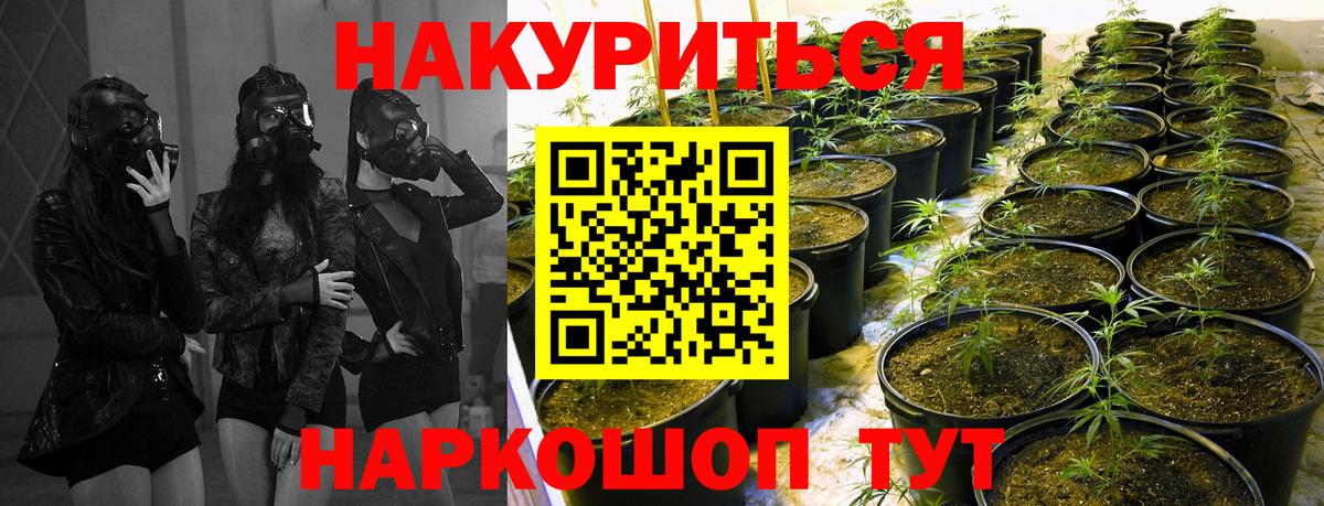 Бошки марихуана Ganja  Конопля семена  Вход с VPN  Бошки Шишки конопля  Канабис Bruce Banner  Котлас 